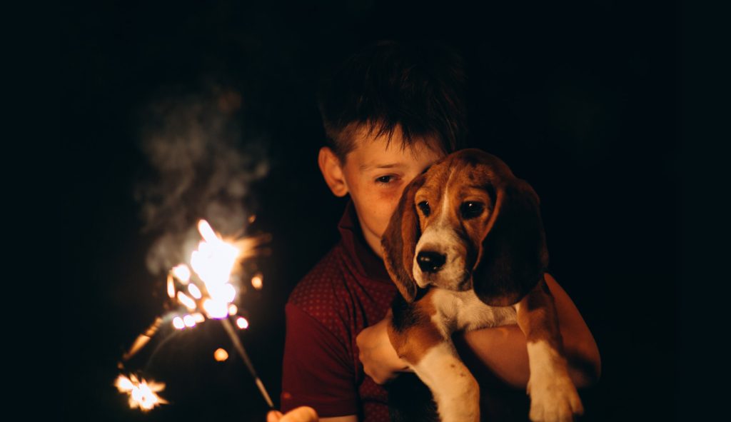 Forbered hunden på nytårsaften